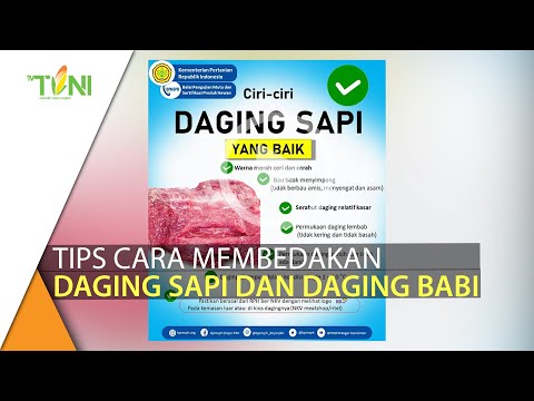 Harga Daging Sapi Dan Babi