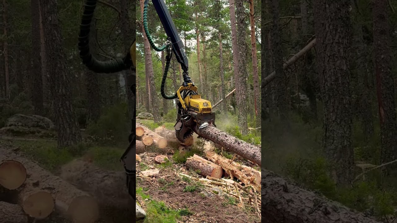 🎮”When the Harvester Gets Smart: AI Meets Farming 🤖🚜” 