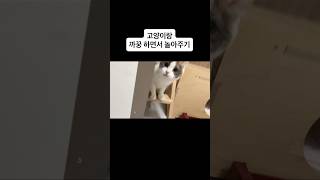 누가 누굴 놀아주는 건지