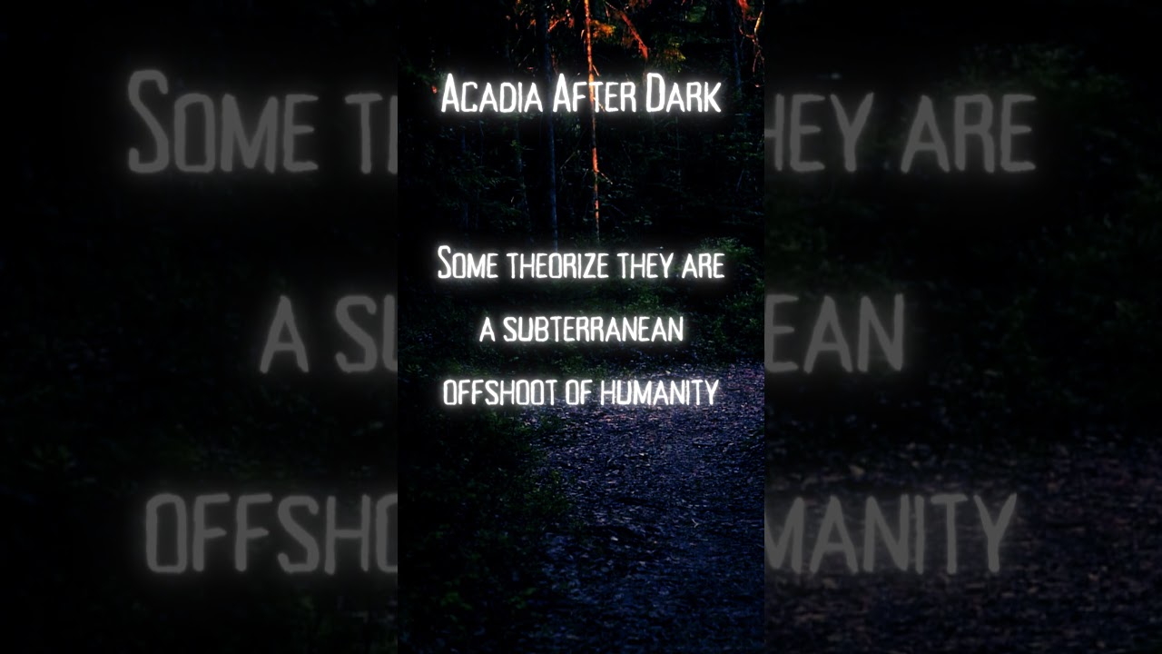 What is a Pale Crawler?