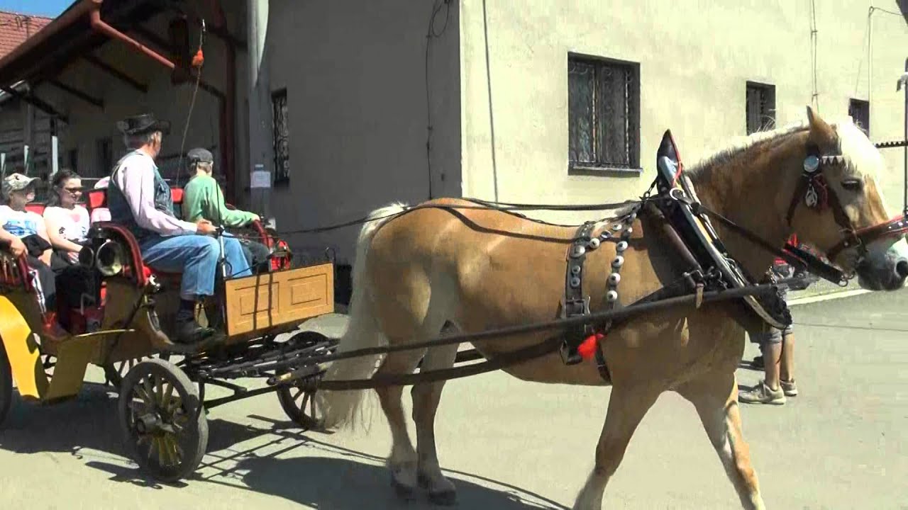 Střední škola zemědělská a veterinární Lanškroun - Den Školy 2014