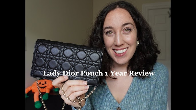 Review: Dior Saddle Pouch I How It Looks + What Fits Inside +YSL