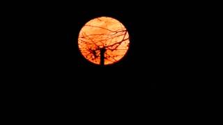 SUPER MOON, 3-19-2011 HD