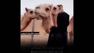 طق ليبي عديه وعدي غياته