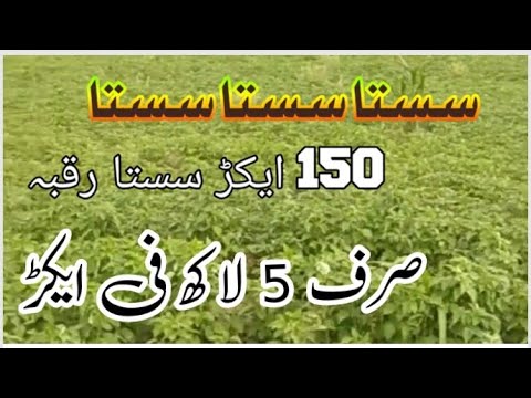سستا سستا سستا سودا۔150 ایکڑ رقبہ برائے فروخت۔ڈمانڈ صرف 5 لاکھ فی ایکڑ ...