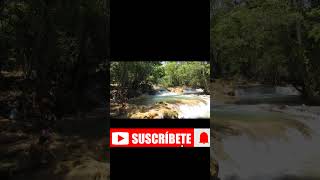 Cascadas de Agua Azul Chilón Chiapas Mexico Mx