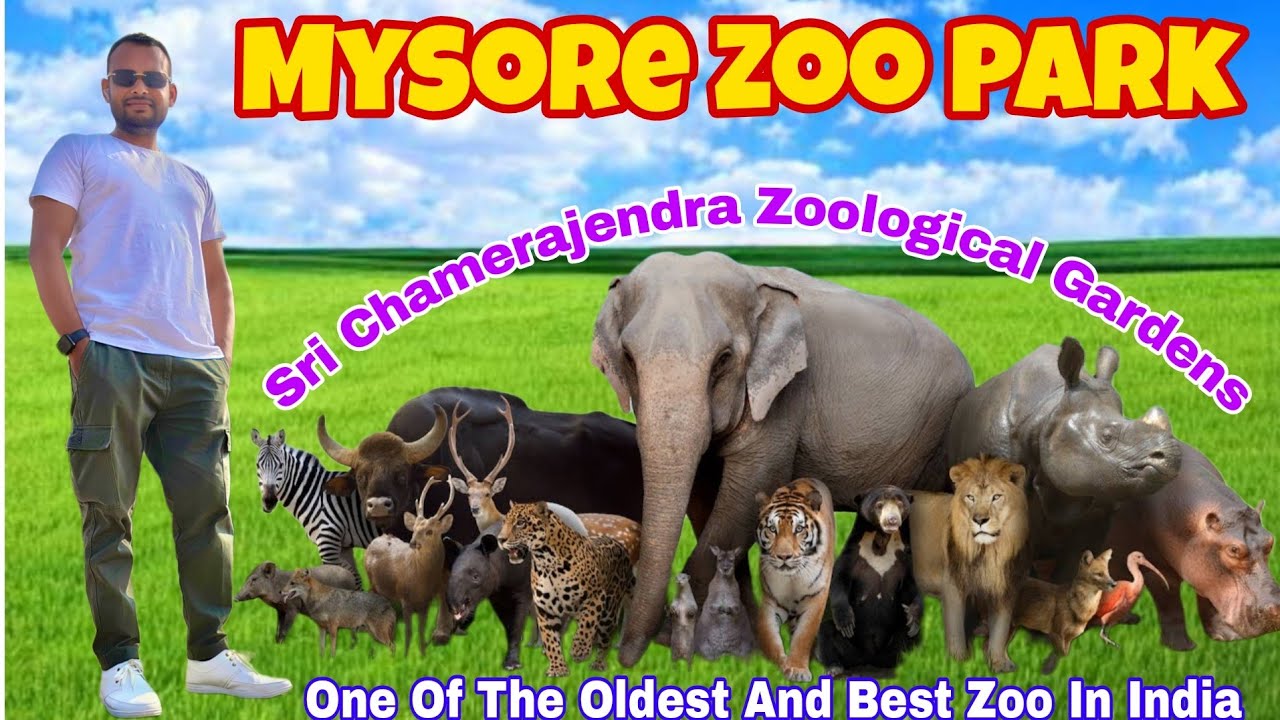 Mysore Zoo 🦍🦣🐊🦓🦏 Complete tour guid | Sri Chamerajendra Zoological Gardens | Wildlife Experience 