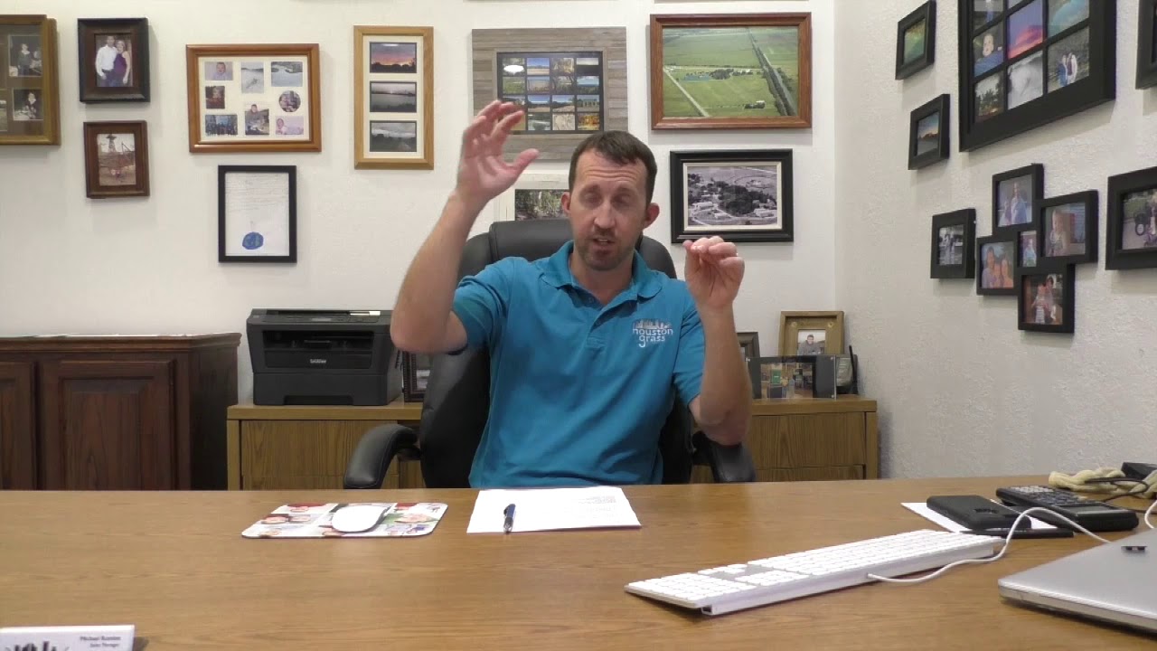 Is Zoysia Grass Good for Dogs Houston Grass Missouri City Pearland YouTube