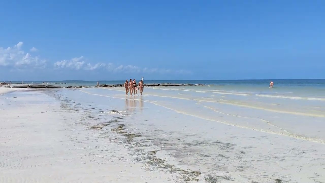 Isla Holbox Feb 22