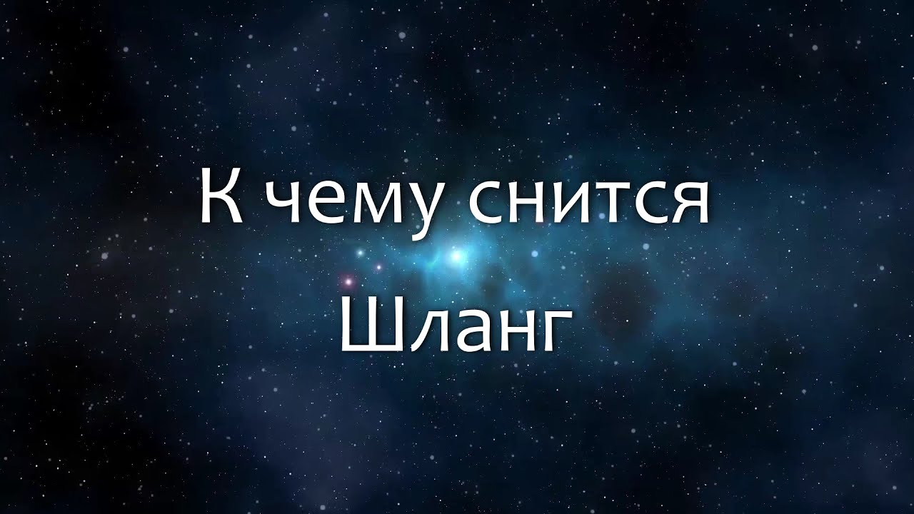 К чему снится Шланг (Сонник, Толкование снов)