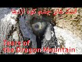 4k The Mountain Of Dragon کوه اژدهار 