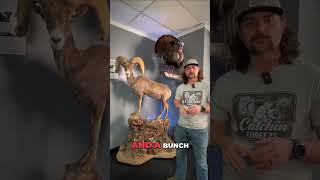 Were giving away a Turkey World Slam!