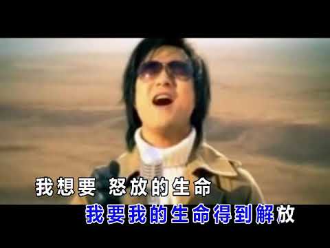 《怒放的生命》汪峰【music video】