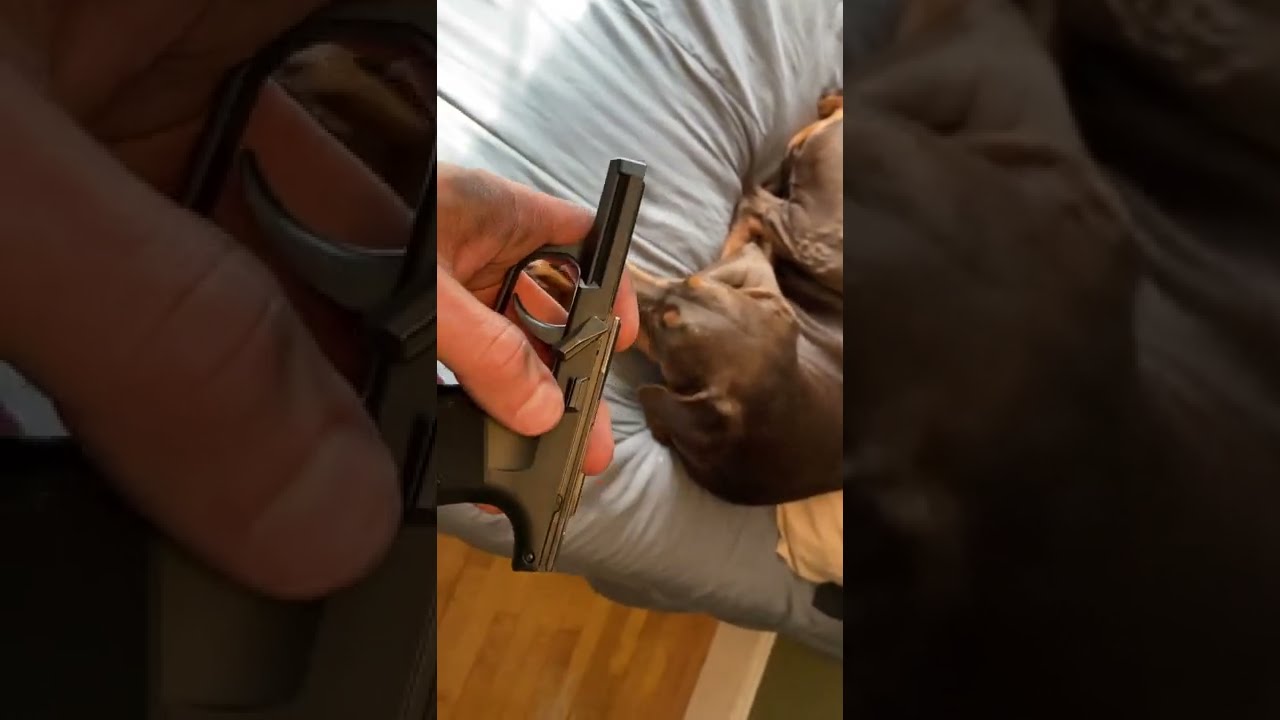 Sig 365 Reassembly Problem Trick