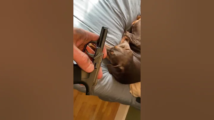 Sig 365 reassembly problem trick