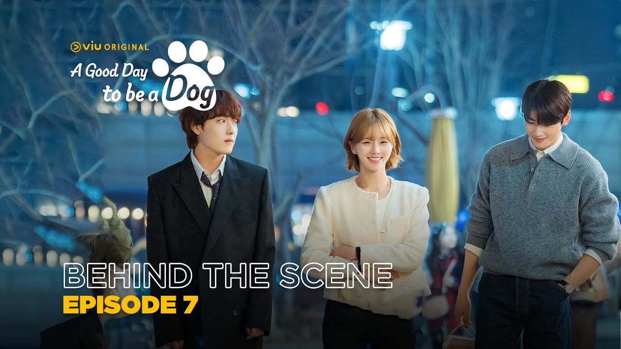 A Good Day To Be a Dog Episode 10 Trailer: Cha Eun-Woo, Park Gyu-Young Get  Suspicious of Lee Hyun-Woo