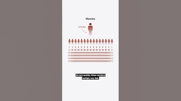 Why Is It So Hard to Stop a Measles Outbreak?