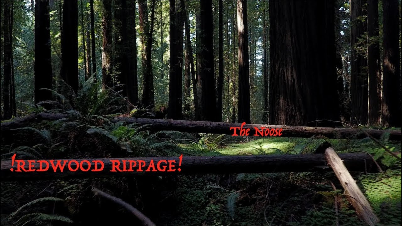 The Noose (Redwood Rippage)