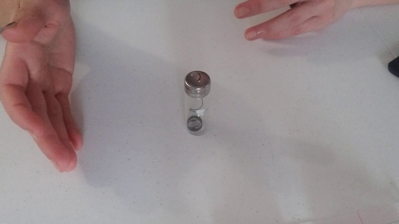 Bamboo Dental Floss Product Review by Live Green Simply