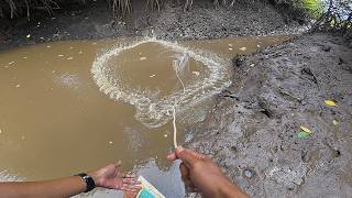 Download Lagu Umpan Udang Besar MP3