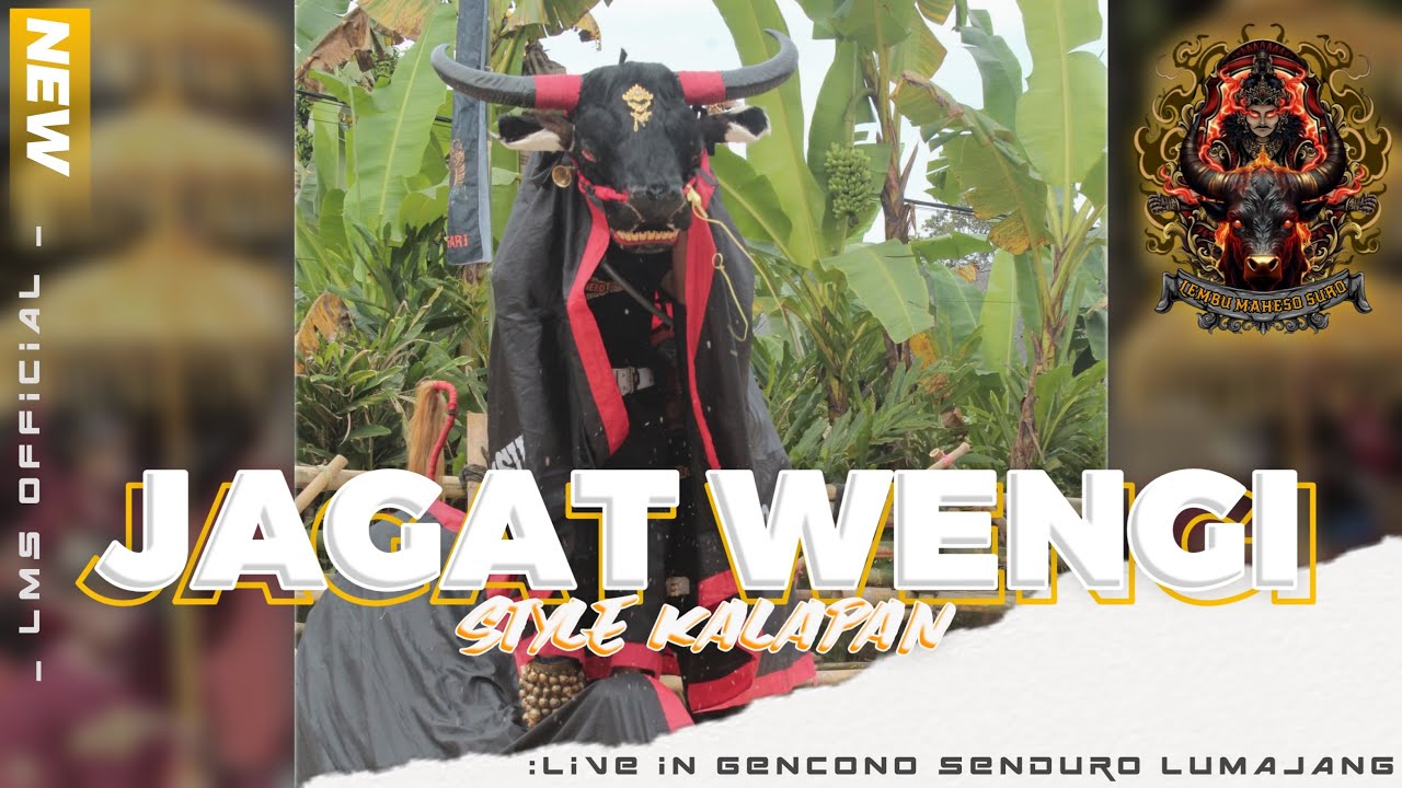 JAGAT WENGI VERSI KALAPAN _Jingle bantengan LEMBU MAHESO SURO‼️