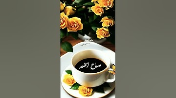 #القرآن_الكريم #تلاوة_خاشعة #راحة_نفسية #ماهر_المعيقلي