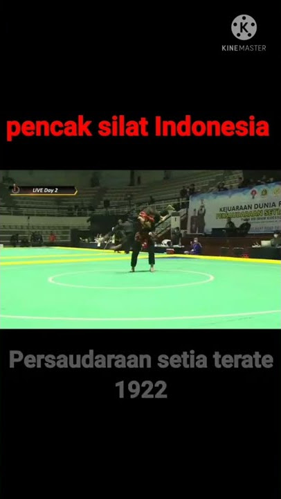 Story wa PSHT terbaru #pshtpusatmadiun #shorts