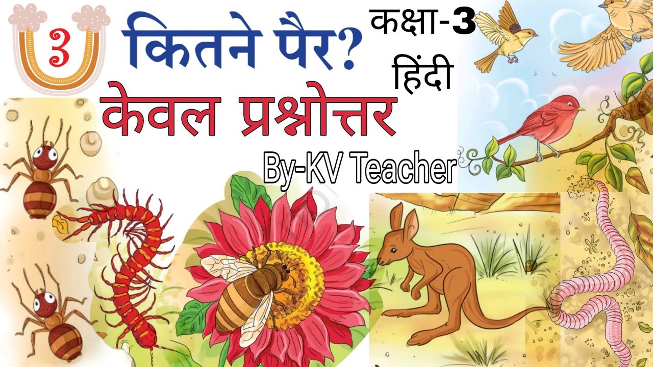 कितने पैर? कक्षा3 पाठ3 NCERT वीणा / प्रश्न उत्तर Class3 हिंदी