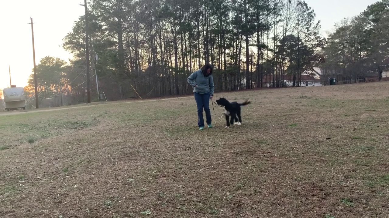 Barnum Training Day 3 YouTube