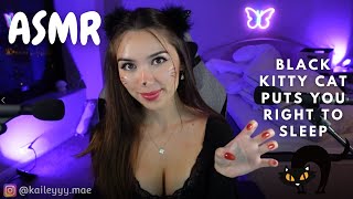 Asmr Black Kitty Cat Puts You Right To Sleep Twitch Vod