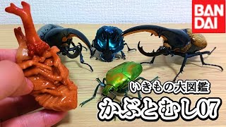 蛹も登場】1回500円で超リアルな昆虫のフィギュアが当たる神