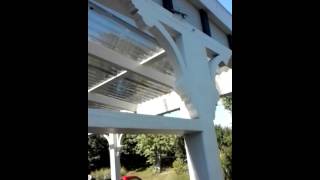 Praying Mantis vs Stink Bug