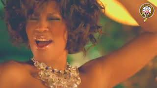 Whitney Houston - Million Dollar Bill  (My Reproduction) by DJJAZZYJNO1GUY 77 views 2 years ago 3 minutes, 59 seconds