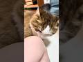 膝、臭い
