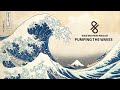 Pumping The Waves [Budo Brothers Podcast]