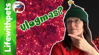 Are We Doing VLOGMAS? @Lifewithpets72