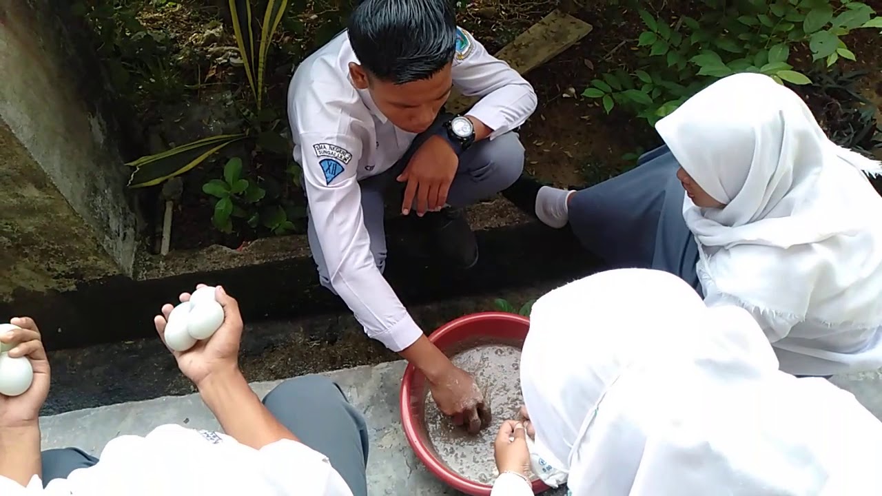 Cara membuat telor asin - YouTube