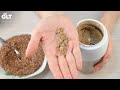 How To Eat Flaxseed Correctly