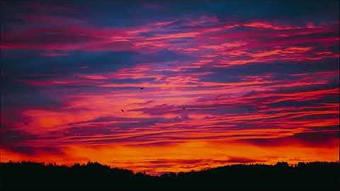 تلاوة شجية تلامس القلوب كلها هدوء وسكينه