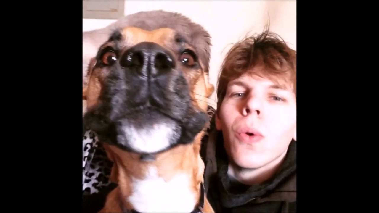 Bibbly53: Compilation 9