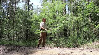 DMT in the Bush