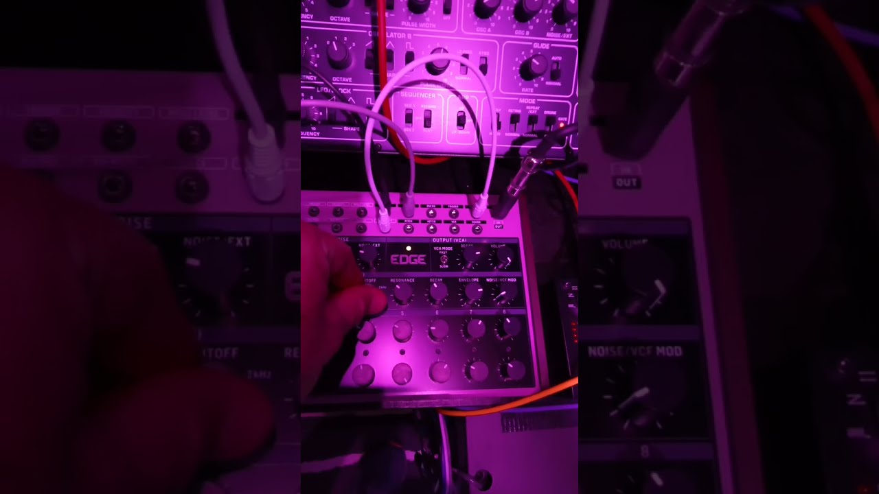 【新品同様】Behringer EDGE Moog DFAMクローン Behringer EDGE vs Moog DFAM Are they the same? - YouTube