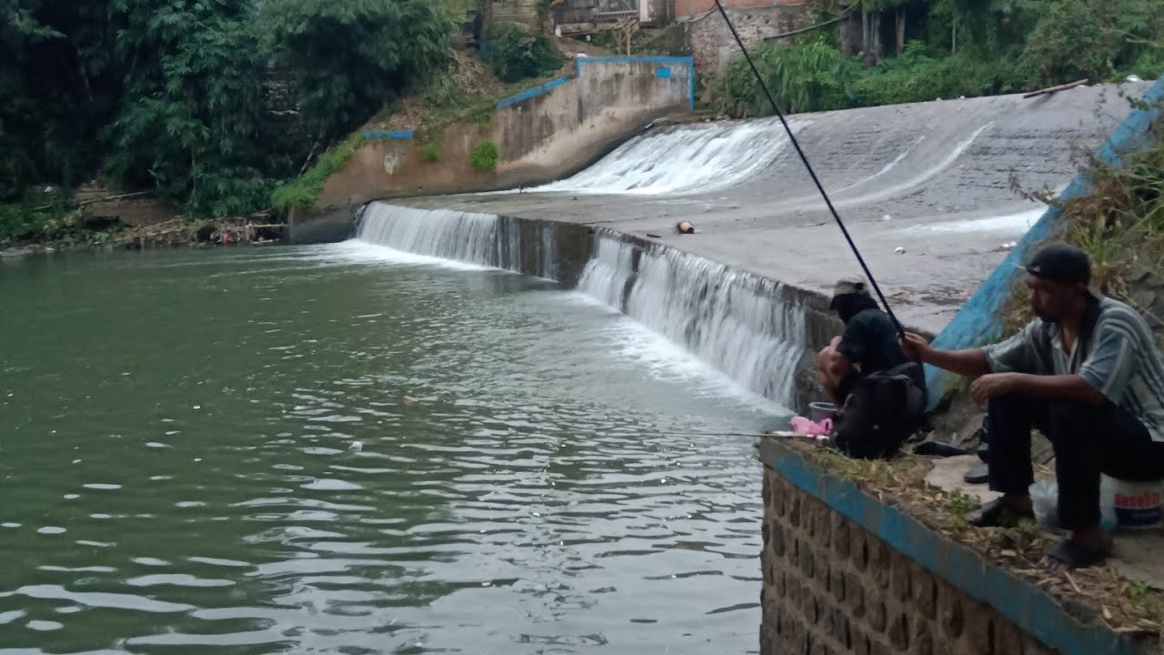 SPOT MANCING DAERAH MALANG KOTA