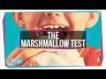 How The Famous "Marshmallow Test" Got Willpower Wrong