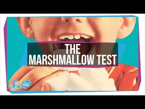 How The Famous Marshmallow Test Got Willpower Wrong