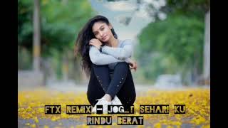 Ftx Remix  Joget Sehari Ku Rindu Berat