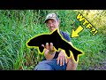 MYSTERIOUS Fish Catch In A FLOODED Ditch!!! (NEED I.D. HELP)