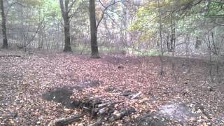 20131117_095711.mp4(1)