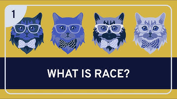 PHILOSOPHY - Race: Racial Ontology #1 (Introduction)
