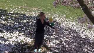 Contact Juggling - A Cheesy Springtime Video